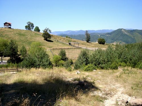 2008geotur004.jpg
