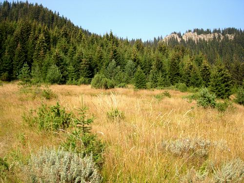 2008geotur030.jpg